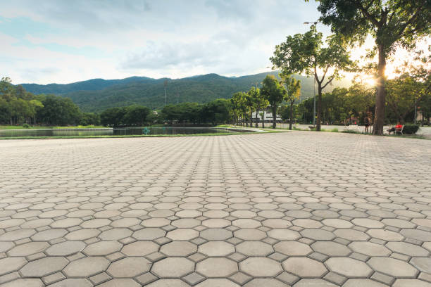 Best Residential Driveway Paver Services  in Winnsboro, TX