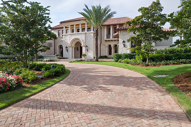 Best Driveway Paving Contractor  in Winnsboro, TX