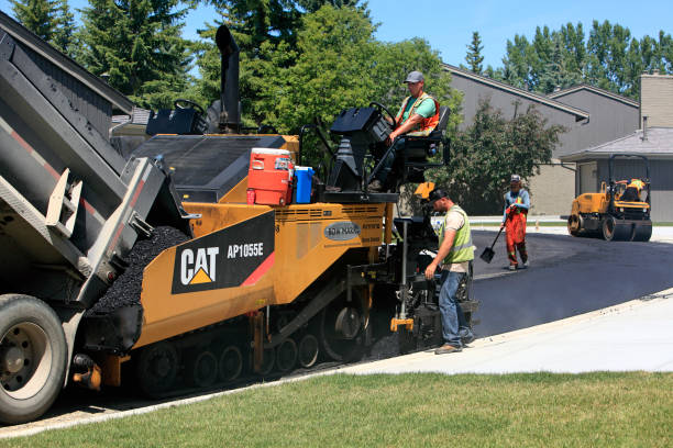 Best Custom Driveway Pavers  in Winnsboro, TX
